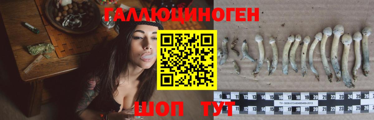 Псилоцибиновые грибы ЛСД  Вход с VPN  Галлюциногенные грибы мухоморы  Ростов-на-Дону 