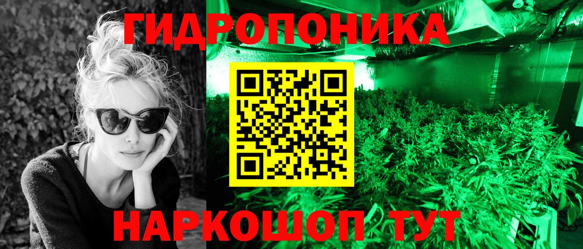 Конопля конопля Ростов-на-Дону